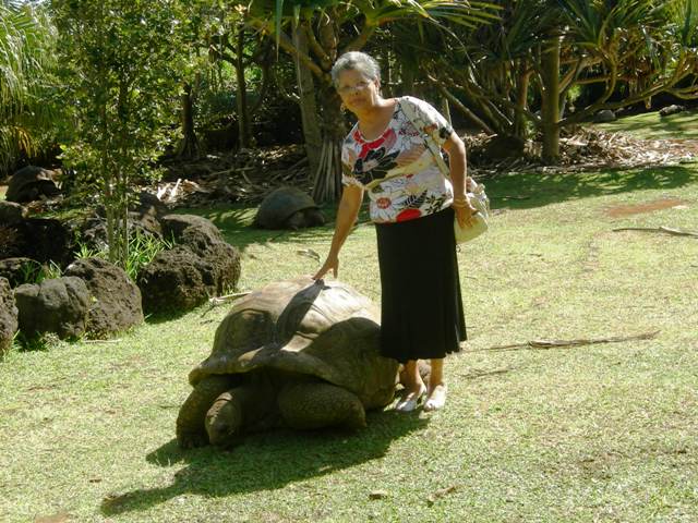 yolande